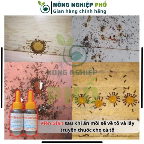 Combo 20 TẶNG 2 thuốc DIỆT KIẾN GIÁN TẬN GỐC SINH HỌC Multiagro - Hoạt Chất Mới Đậm Đặc Diệt Trừ Mạnh. An Toàn, Hiệu Quả 739286