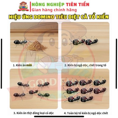 [MỞ BÁN GIÁ HỜI] COMBO RB Pronil 800 Thay Thế Re.gent Hai Lúa Diệt Sạch Kiến, Gián, Rầy, Rệp, Ve Chó, Mạt Gà, Sâu 739296