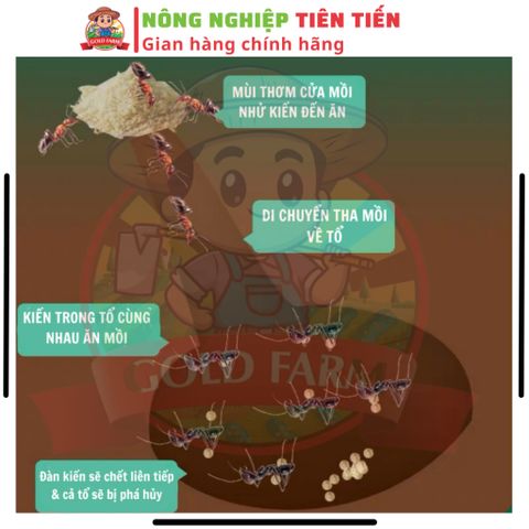 [MỞ BÁN GIÁ HỜI] COMBO RB Pronil 800 Thay Thế Re.gent Hai Lúa Diệt Sạch Kiến, Gián, Rầy, Rệp, Ve Chó, Mạt Gà, Sâu 739296