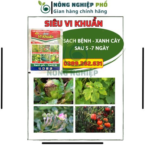 Thuốc Phòng, Trừ Nấm Bệnh Cao Cấp SIÊU VI KHUẨN Multiagro - Đặc Trị Sương Mai, Thán Thư, Thối Nhũn Trên Cây Kiểng, Hoa 739298