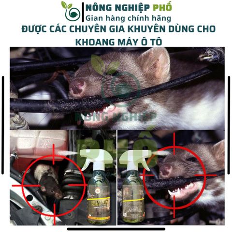 Xịt đuổi chuột Multiagro Nam Việt -Thuốc xịt Không Mùi, An Toàn - Xua đuổi chuột, gián, côn trùng , chỉ sau 1 lần xịt 739300