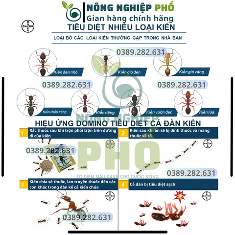 [CHÍNH HÃNG] Chế phẩm Regent 800wg diệt sạch kiến, gián, muỗi, bọ chét, mạt gà, mối, Chế phẩm diệt côn trùng đa năng Regent 800wg 1.6g 739301