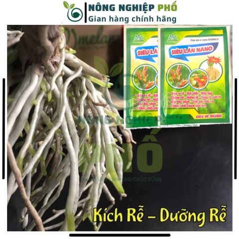 Phân Bón Siêu Lân Nano Gói 30g Siêu Dưỡng Dùng Được Cho Các Loại Hoa, Hoa Hồng, Phong Lan, Mai-Phân Bón Siêu Lân Tạo Mầm 739307