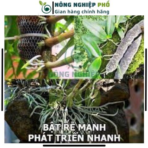 Phân Bón Siêu Lân Nano Gói 30g Siêu Dưỡng Dùng Được Cho Các Loại Hoa, Hoa Hồng, Phong Lan, Mai-Phân Bón Siêu Lân Tạo Mầm 739307