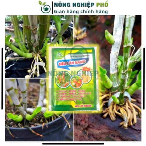 Phân Bón Siêu Lân Nano Gói 30g Siêu Dưỡng Dùng Được Cho Các Loại Hoa, Hoa Hồng, Phong Lan, Mai-Phân Bón Siêu Lân Tạo Mầm 739307