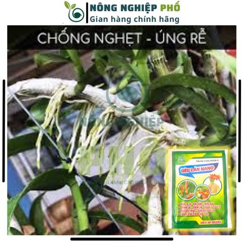 Phân Bón Siêu Lân Nano Gói 30g Siêu Dưỡng Dùng Được Cho Các Loại Hoa, Hoa Hồng, Phong Lan, Mai-Phân Bón Siêu Lân Tạo Mầm 739307