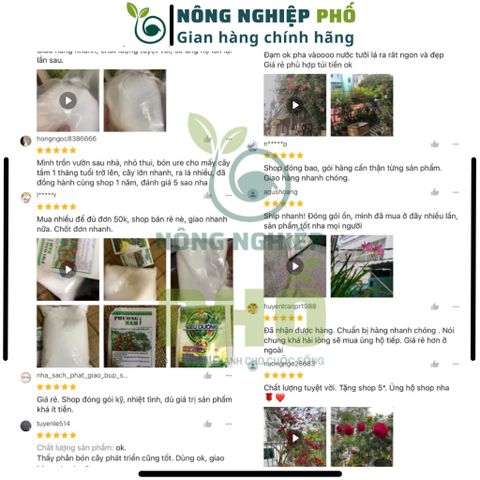Phân Đạm Ure Phú Mỹ Chuyên Rau Màu Hoa Cây Cảnh Túi 500G - Cung Cấp Đạm Cho Cây Trồng Kích Chồi, Lá Và Giúp Lá Xanh Mượt 739309