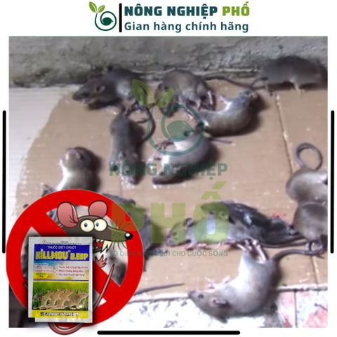 Thuốc Diệt Chuột Killmou 2.5DP Multiagro Thế Hệ Mới (Gói 10g) - Diệt Chuột Mạnh Hơn, Nhanh Hơn 739310
