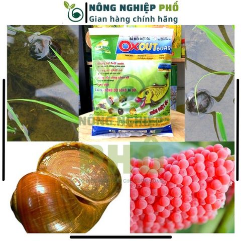 [GÓI LỚN]Bả Mồi Diệt Ốc Sên Hại Cây Trồng, Mầm Rễ Chồi Hoa Lan Hoa Mai Gói 350g. Siêu Diệt Ốc Cực Nhanh Cực Nhạy An Toàn 739315