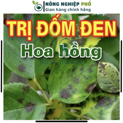 Thuốc Trừ Bệnh Sinh Học Lillacter Multiagro Đặc Trị Vi Khuẩn, Nấm Bệnh Hoa Kiểng, Cây, Hoa An Toàn Hiệu Quả Tuyệt Đối 739317