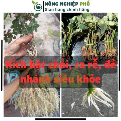 Phân Vi Lượng Gói Lớn 60g Kích Bật Chồi Ra Hoa Đồng Loạt, Đẻ Nhánh Khỏe, Tăng đậu trái, Giảm Rụng Trái, Mập Thân, To Quả 739319