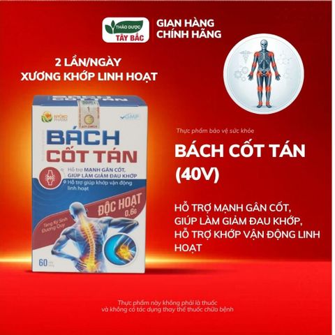 (CHÍNH HÃNG) Viên uống Xương Khớp BÁCH CỐT TÁN Nyoko Pharm - Hỗ Trợ Giảm Đau Khớp, Mạnh Gân Cốt (Hộp 40 Viên)