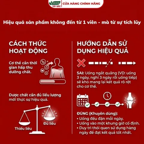 [COMBO GỌNG KÌM] Cao uống khớp tây bắc và vaga extra hỗ trợ giảm đau nhức, tê bì, đau mỏi vai gáy, thắt lưng, cột sống