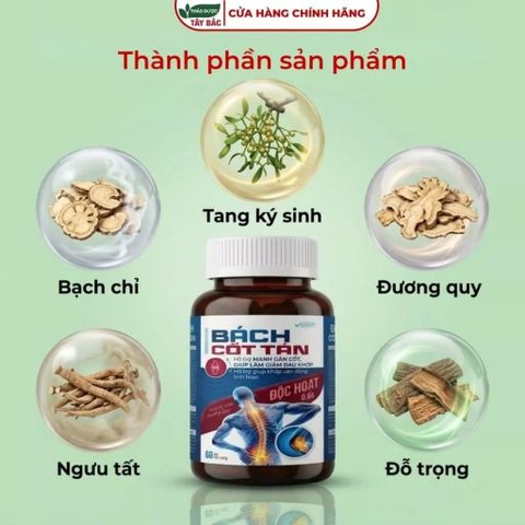 (CHÍNH HÃNG) Viên uống Xương Khớp BÁCH CỐT TÁN Nyoko Pharm - Hỗ Trợ Giảm Đau Khớp, Mạnh Gân Cốt (Hộp 40 Viên)