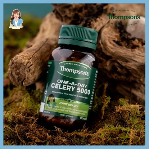 Viên uống giảm đau nhức khớp, giảm đau góut New Zealand Thompson’s One-A-Day Celery 5000mg 60 viên