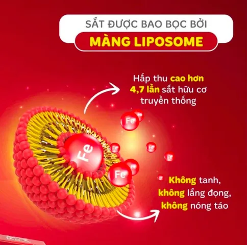 Sắt sinh học Ferrolip cho bà bầu và người thiếu máu, nhập khẩu từ Ý (Hộp 20 gói)