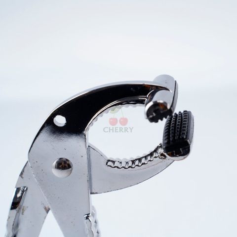 KẸP GẮP NÓNG INOX (TH580)