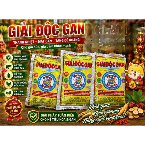(CÓ BÁN LẺ) Xổ Độc Gan - Giải Độc Gan - Gói 16G [ Đức Thọ Sanh ]