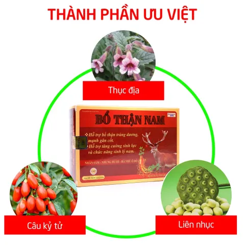 Bổ Thận Nam HDPHARMA bổ thận