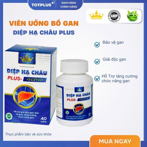 Diệp Hạ Châu Plus Kingphar – Hỗ Trợ Giải Độc Gan, Bảo Vệ Gan, Tăng Cường Chức Năng Gan (Hộp 40 Viên)