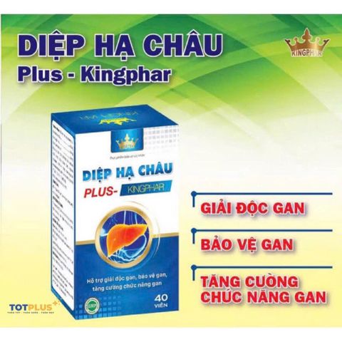 Diệp Hạ Châu Plus Kingphar – Hỗ Trợ Giải Độc Gan, Bảo Vệ Gan, Tăng Cường Chức Năng Gan (Hộp 40 Viên)