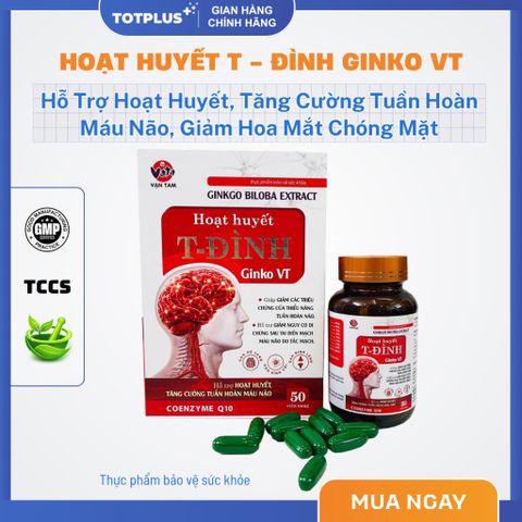 Hoạt Huyết T-Đình Ginko VT – Hỗ Trợ Hoạt Huyết, Tăng Cường Tuần Hoàn Máu Não, Giảm Đau Đầu Chóng Mặt