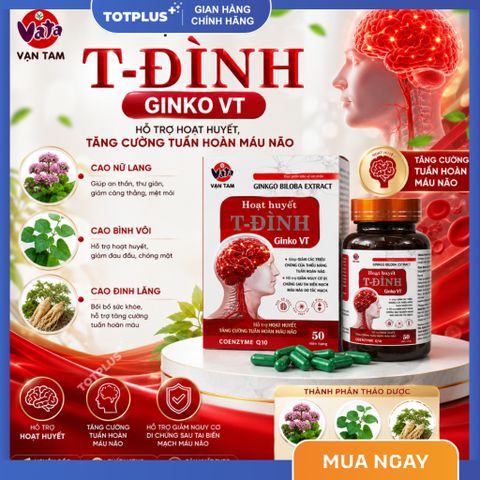 Hoạt Huyết T-Đình Ginko VT – Hỗ Trợ Hoạt Huyết, Tăng Cường Tuần Hoàn Máu Não, Giảm Đau Đầu Chóng Mặt