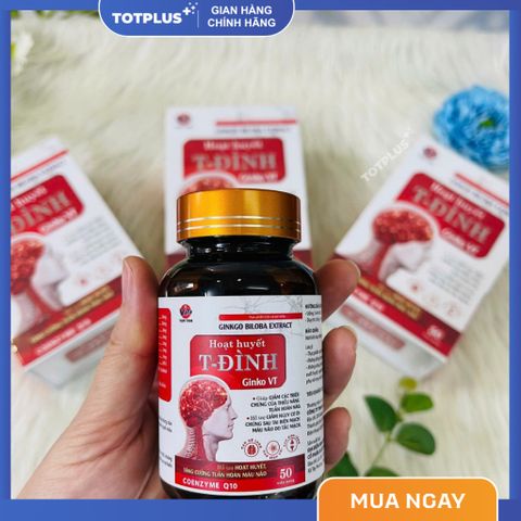 Hoạt Huyết T-Đình Ginko VT – Hỗ Trợ Hoạt Huyết, Tăng Cường Tuần Hoàn Máu Não, Giảm Đau Đầu Chóng Mặt
