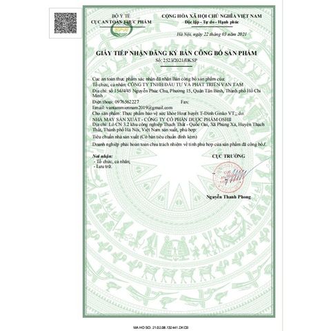 Hoạt Huyết T-Đình Ginko VT – Hỗ Trợ Hoạt Huyết, Tăng Cường Tuần Hoàn Máu Não, Giảm Đau Đầu Chóng Mặt