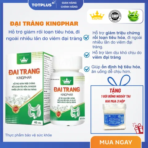 Đại Tràng Kingphar – Hỗ Trợ Giảm Rối Loạn Tiêu Hóa, Đi Ngoài Nhiều Lần Do Viêm Đại Tràng