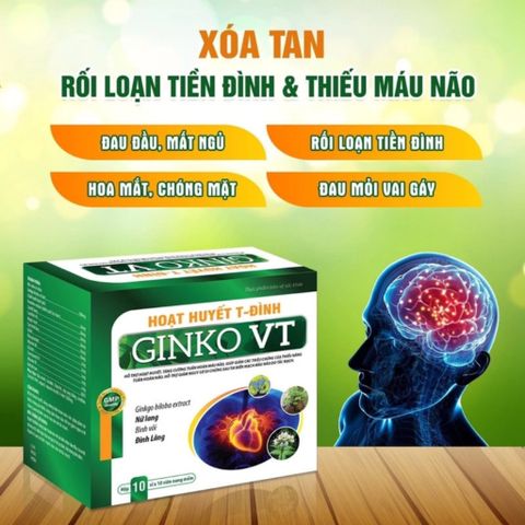 Hoạt Huyết T-Đình Ginko VT – Hỗ Trợ Tăng Cường Tuần Hoàn Não, Giảm Hoa Mắt Chóng Mặt