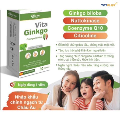 Vita Ginkgo – Hỗ Trợ Tăng Cường Tuần Hoàn Não, Giảm Chóng Mặt, Đau Đầu, Suy Giảm Trí Nhớ-Hộp 30 Viên