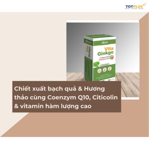 Vita Ginkgo – Hỗ Trợ Tăng Cường Tuần Hoàn Não, Giảm Chóng Mặt, Đau Đầu, Suy Giảm Trí Nhớ-Hộp 30 Viên