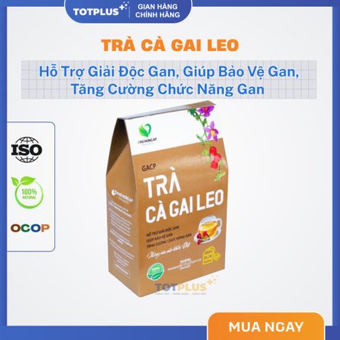 Trà Cà Gai Leo  – Trà Thảo Dược Mát Gan, Giải Độc Gan, Bảo Vệ Gan Tự Nhiên Chuẩn GACP-WHO