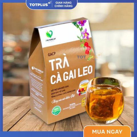 Trà Cà Gai Leo  – Trà Thảo Dược Mát Gan, Giải Độc Gan, Bảo Vệ Gan Tự Nhiên Chuẩn GACP-WHO