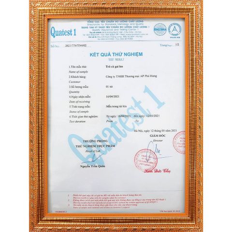 Trà Cà Gai Leo  – Trà Thảo Dược Mát Gan, Giải Độc Gan, Bảo Vệ Gan Tự Nhiên Chuẩn GACP-WHO