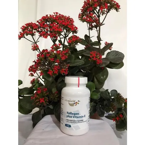 Kollagen plus VITAMIN E giúp trắng da, giảm lão hóa da sớm.