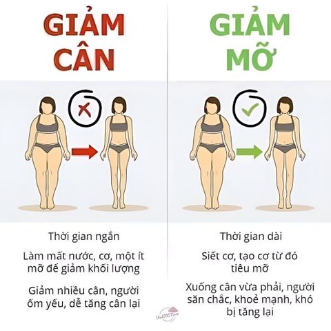 Trà giảm cân Minci concept thành phần tự nhiên giảm hấp thụ chất béo, giải phóng năng lượng thừa trên cơ thể, hộp 30 gói