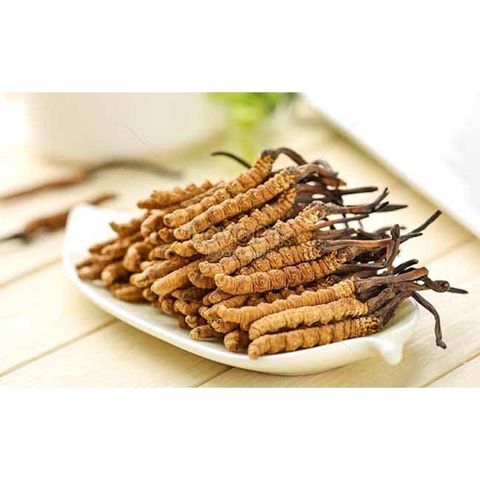 Viên uống đông trùng hạ thảo ZEIN PHAMAR hỗ trợ đau lưng,mỏi gối...lọ 120 viên