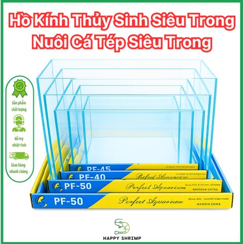 Hồ Kính Siêu Trong | Bể Kính Thủy Sinh Siêu Trong | Bể Kính Nuôi Cá Tép Siêu Trong