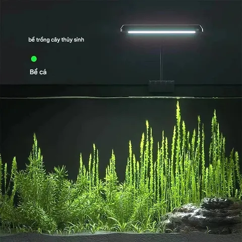 Đèn Led Kẹp Bể Cá XML T103 | Led bể Thủy Sinh Màu Đen | Đèn Kẹp Bể Thủy Sinh Đủ Quang Phổ