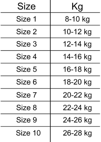 Áo nỉ polo chữ kèm quần baggy jean rách phong cách hàn quốc thu đông cho bé trai
