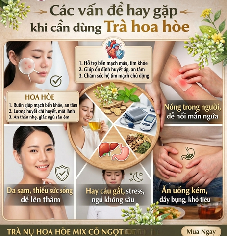 Trà Hoa Hòe Cam Thảo - Trà Túi Lọc Cao Cấp Hỗ Trợ Huyết Áp Cao, Thanh Nhiệt, Ngủ Ngon [Hộp 30 Gói]