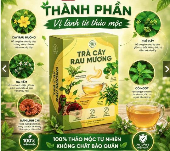 Trà cây rau mương thảo mộc tự thiên –giúp thanh nhiệt giải độc, tốt cho tiêu hóa – Hộp 30 gói x 3g