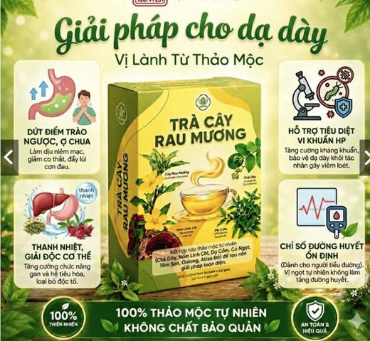 Trà cây rau mương thảo mộc tự thiên –giúp thanh nhiệt giải độc, tốt cho tiêu hóa – Hộp 30 gói x 3g