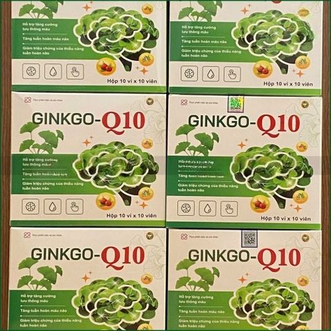1 HỘP GINKGO-Q10 – VIÊN UỐNG HỖ TRỢ TĂNG CƯỜNG LƯU THÔNG MÁU NÃO, GIẢM ĐAU ĐẦU, CHÓNG MẶT, SUY GIẢM TRÍ NHỚ – HỘP 30 VIÊN. THỰC PHẨM BẢO VỆ SỨC KHỎE CHÍNH HÃNG VINAPHAR.