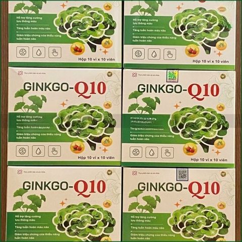 1 HỘP GINKGO-Q10 – VIÊN UỐNG HỖ TRỢ TĂNG CƯỜNG LƯU THÔNG MÁU NÃO, GIẢM ĐAU ĐẦU, CHÓNG MẶT, SUY GIẢM TRÍ NHỚ – HỘP 30 VIÊN. THỰC PHẨM BẢO VỆ SỨC KHỎE CHÍNH HÃNG VINAPHAR.