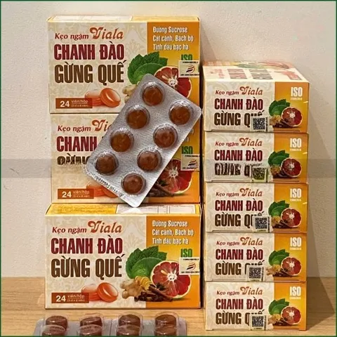 1 HỘP KẸO NGẬM VIALA CHANH ĐÀO GỪNG QUẾ - HỖ TRỢ GIẢM HO, LONG ĐỜM, MÁT HỌNG, TINH DẦU BẠC HÀ - HỘP 24 VIÊN