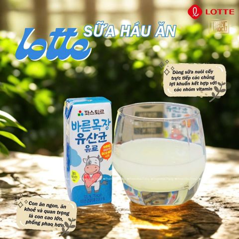 SỮA HÁU ĂN LOTTE LỢI KHUẨN HÀN QUỐC