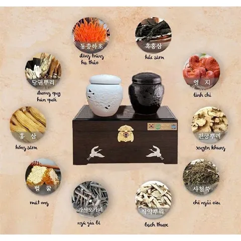 Cao hắc sâm đông trùng hạ thảo Hàn Quốc, hộp 2 lọ x 500g